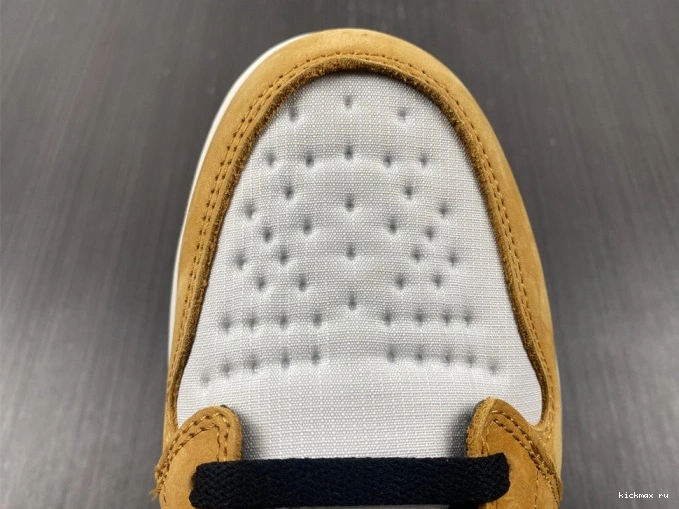 Rep MAX 1 Light DB2889-700 Jordan High Gore-Tex Curry Element 0822